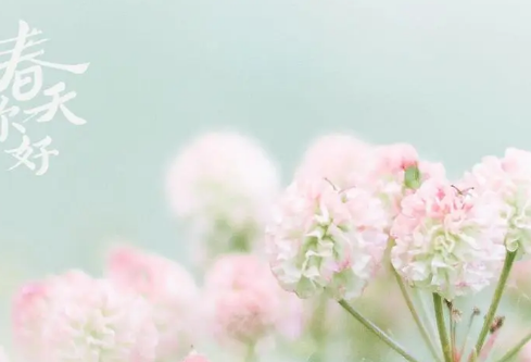 1712108007865486.png image.png