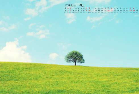 1712111827803657.png image.png