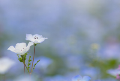 ​有创意不油腻的情侣网名(共234个)