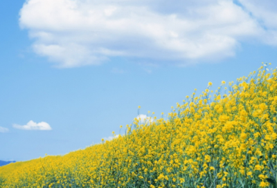 ​御龙在天六个字游戏名字(共286个)