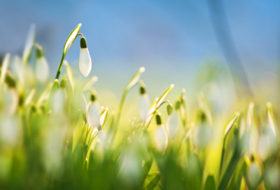 ​有点污的重口味网名大全(共329个)