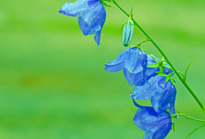 ​空间说说大全