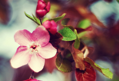 ​伤心回忆qq网名(优选344个)