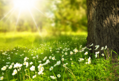 ​个性的玉器店名字(精选328个)