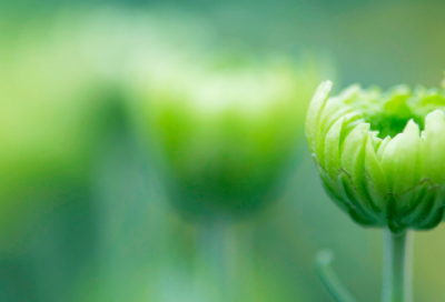 ​王者荣耀上单伤感名字(共294个)