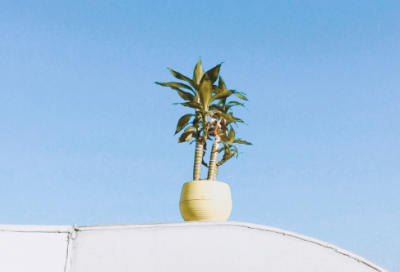 ​比较狂傲霸气的名字(352个)