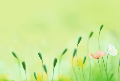 ​好听qq情侣网名(共198个)