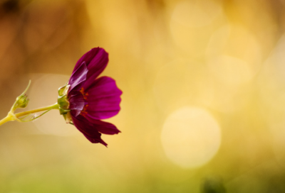 ​情侣七字游戏名字大全(优选162个)