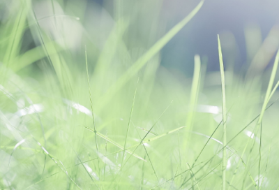 ​女生好听成熟有女人味网名(精选355个)