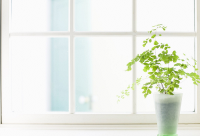 ​史上最逗比的情侣网名(208个)