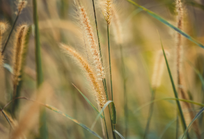 ​好看好听的八字网名(优选247个)