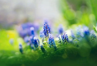 ​梦幻西游男名字大全(精选346个)