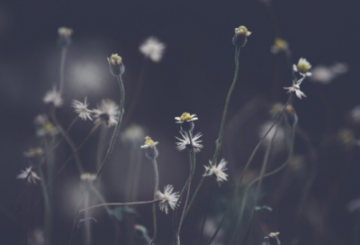 ​形容很爱一个人的昵称(优选347个)