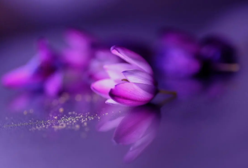 1712127001493321.png image.png