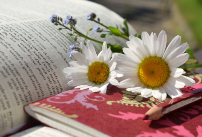 ​诗意的王者荣耀名字(精选326个)