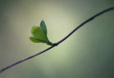 ​2024最新版繁体字伤感网名(优选275个)