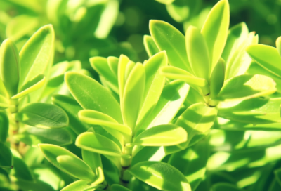 ​被人伤透了心的网名(306个)