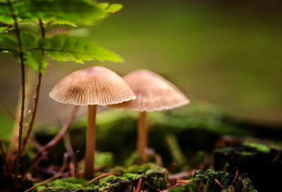 ​有趣有风格的好笑情侣网名(202个)