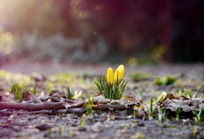 ​适合男孩可爱风的网名(321个)