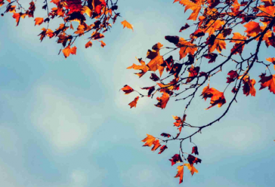 ​古典优雅女生QQ网名(精选340个)