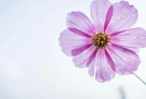 1712129495405457.png image.png