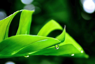 ​简单伤感的网名(共284个)