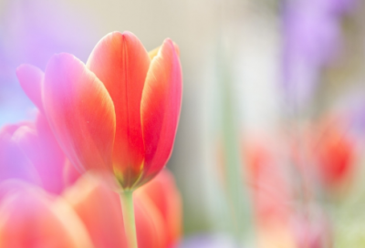 ​逗比让人过目不忘的网名大全(共348个)