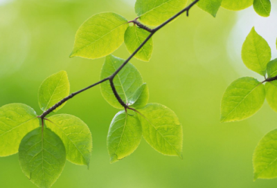 ​2024适合一辈子网名伤感(精选308个)