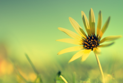 ​超可爱的青春网名(342个)