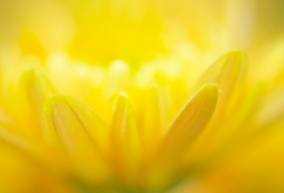 ​qq繁体字经典的女生个性网名(精选335个)