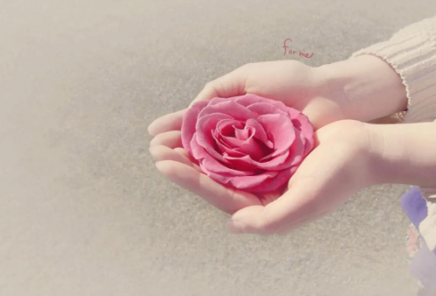 1712131987724947.png image.png