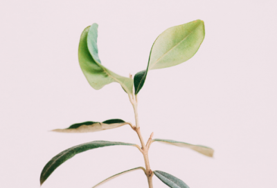 ​优雅气质有内涵的昵称