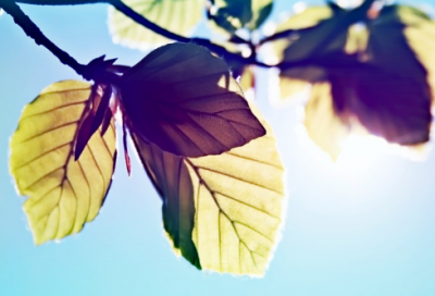 ​高冷五个字的网名(精选312个)