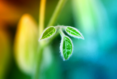 ​让人惊艳的游戏昵称(优选345个)