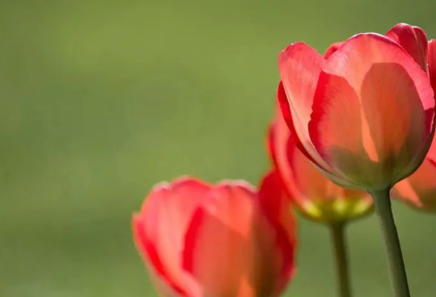 1712134811188703.png image.png