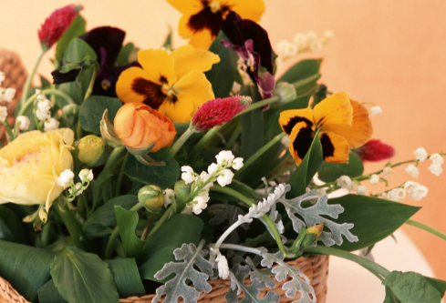 1712135144868722.png image.png