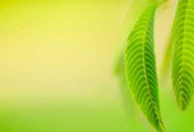 ​充满正能量的励志网名(优选331个)