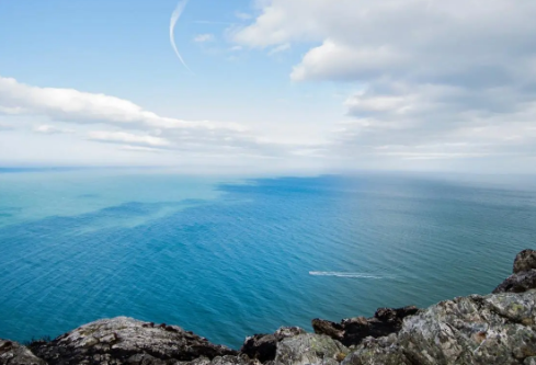 1712135808388329.png image.png