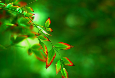 ​霸气炫酷的女汉子专属网名(共307个)