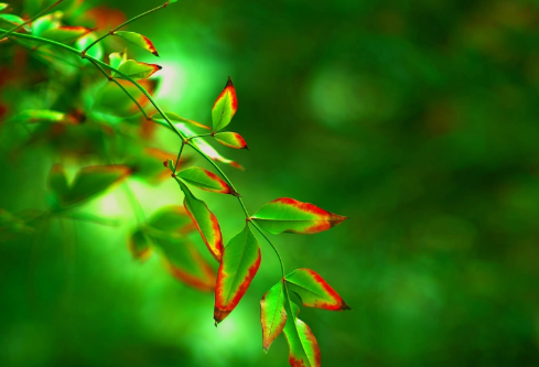 1712136140449400.png image.png