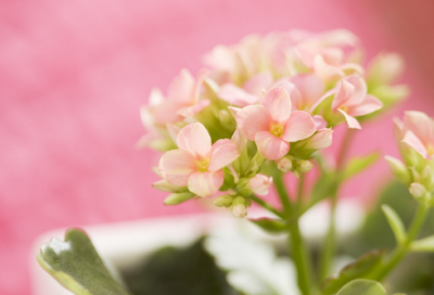 ​修心养性的网名(343个)