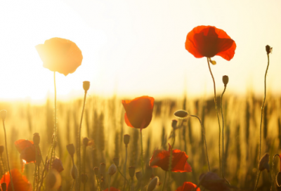 ​甜美又很幸福的情侣昵称合集四个字(优选432个)