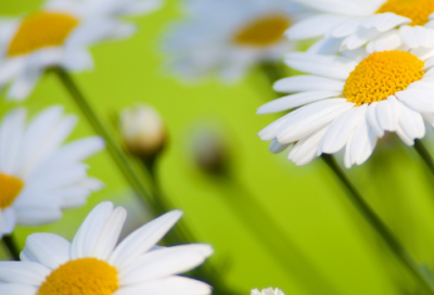 ​男生可爱的个性网名(311个)