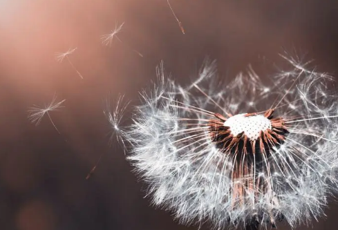 1712137469162488.png image.png