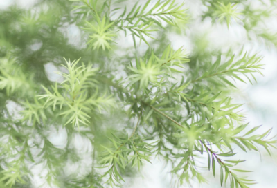 ​男生最有个性的昵称(优选297个)