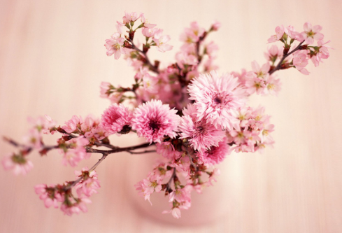 1712137967820823.png image.png