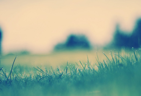 1712138133246799.png image.png