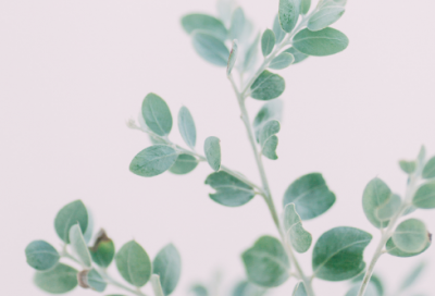 ​坚强菇凉个性网名(270个)