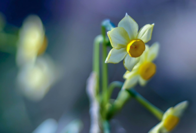 ​适合小女孩的网名昵称(优选334个)