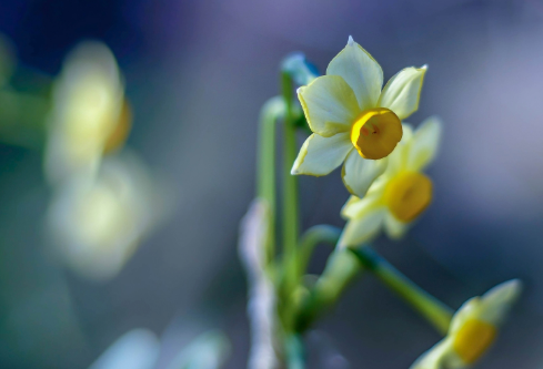 1712138465487446.png image.png